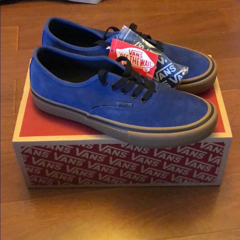 Vans Authentic Pro (Rainy Day) Navy/Gum